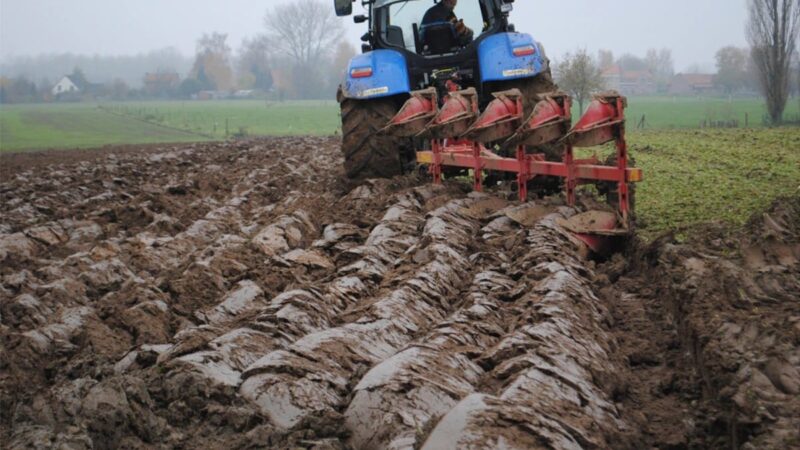 Développement d’une agriculture qui nourrit son homme : Une solution pour la réduction de l’exode rural