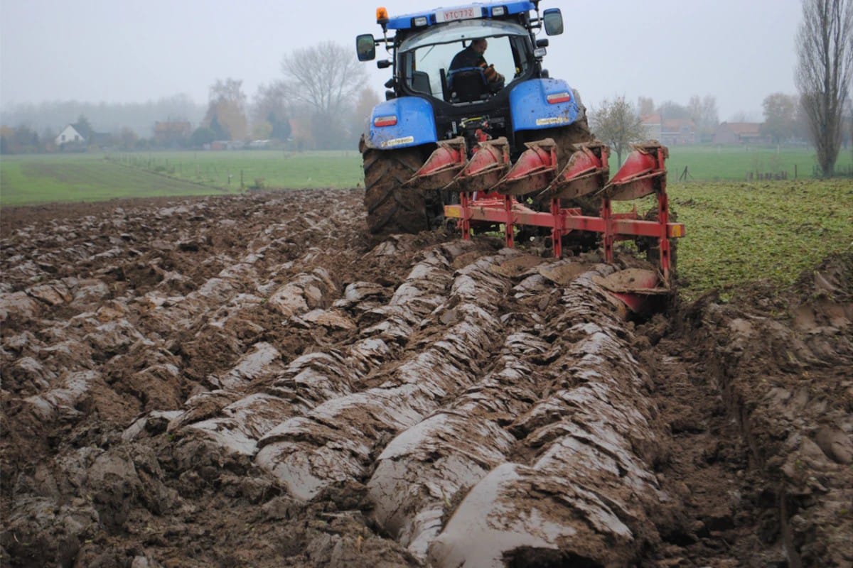 Développement d’une agriculture qui nourrit son homme : Une solution pour la réduction de l’exode rural