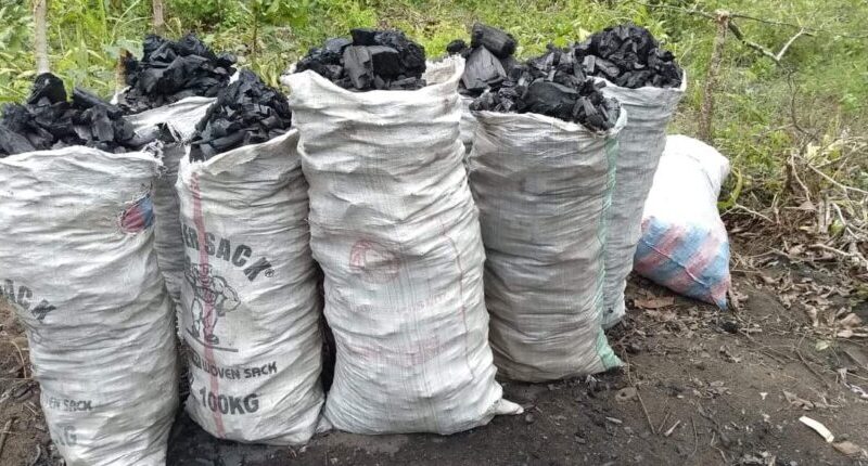 Bénin : Le gouvernement établit de nouvelles mesures sur le transport de bois de chauffe et de charbon