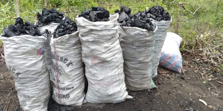 Bénin : Le gouvernement établit de nouvelles mesures sur le transport de bois de chauffe et de charbon