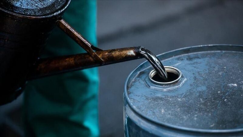 Le Nigeria et l’Angola domineront la production pétrolière africaine en 2025