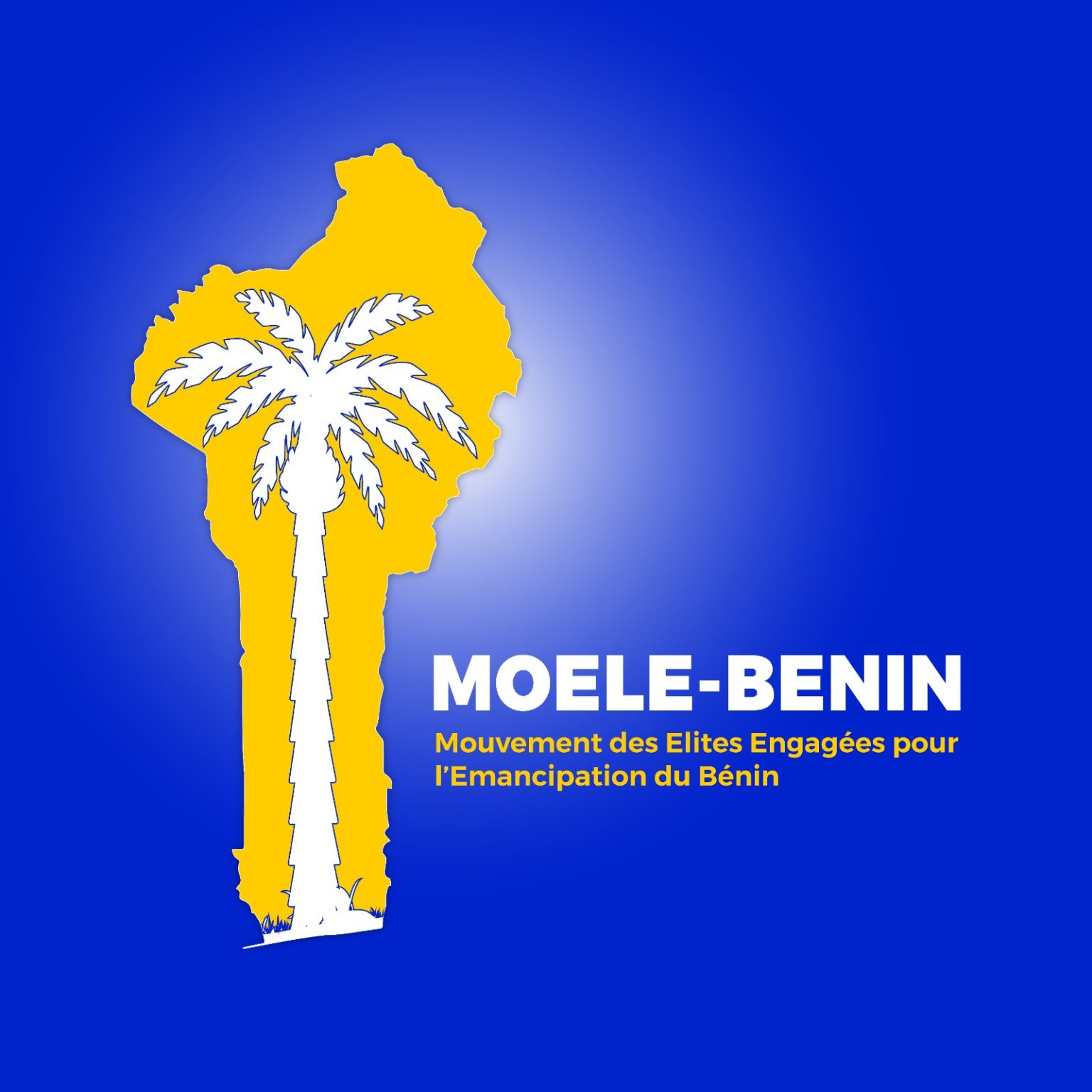 Législatives 2026 : Message de campagne du parti MOELE-BENIN sur le thème Éducation – Formation – Emploi